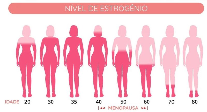 Nível de estrogênio ao longo da vida da mulher